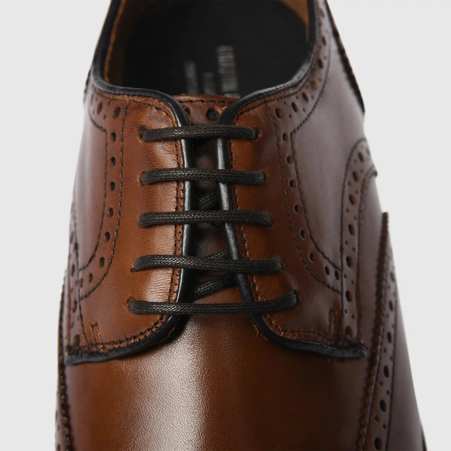 Levet Torino Brown