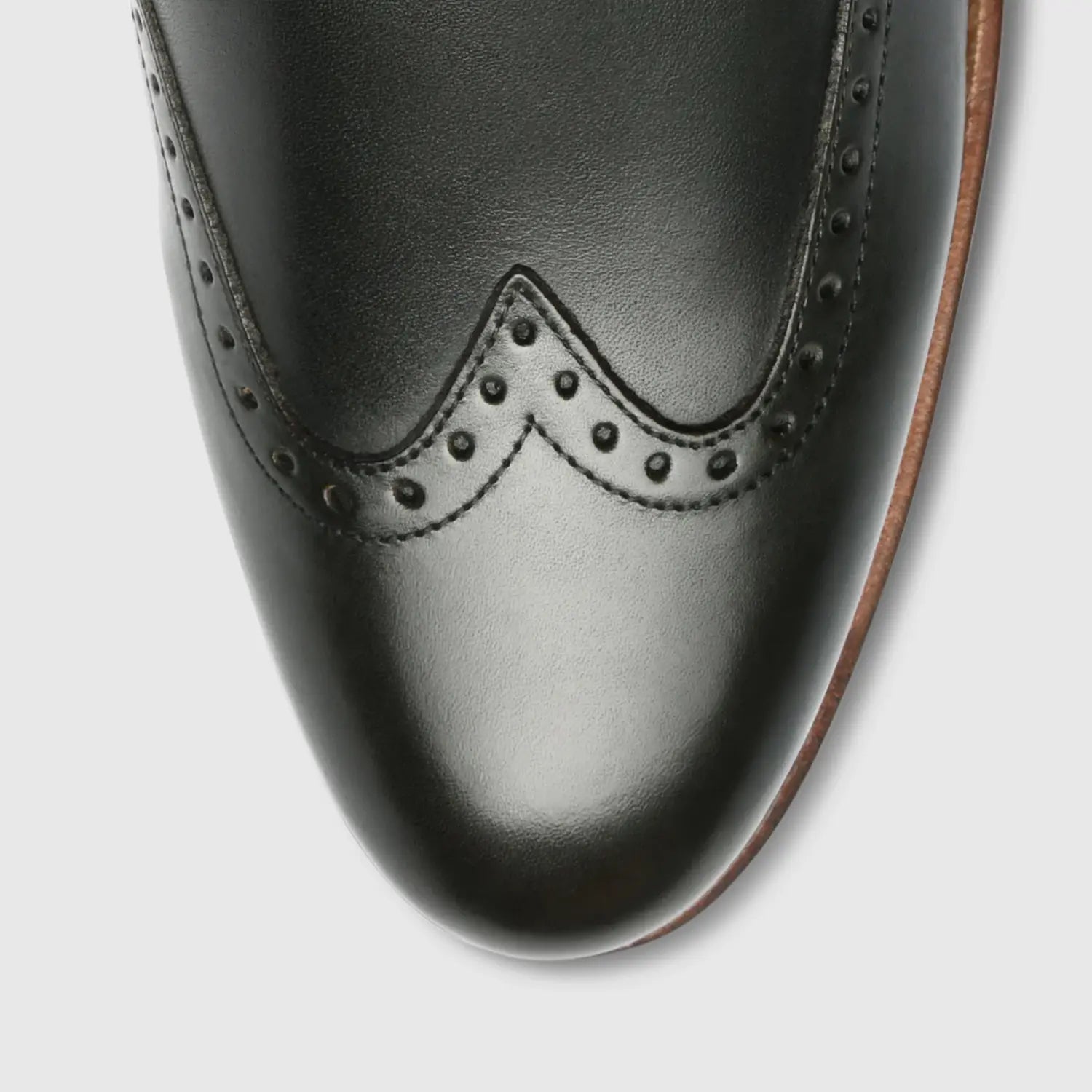 Levet Crust Navy/Green