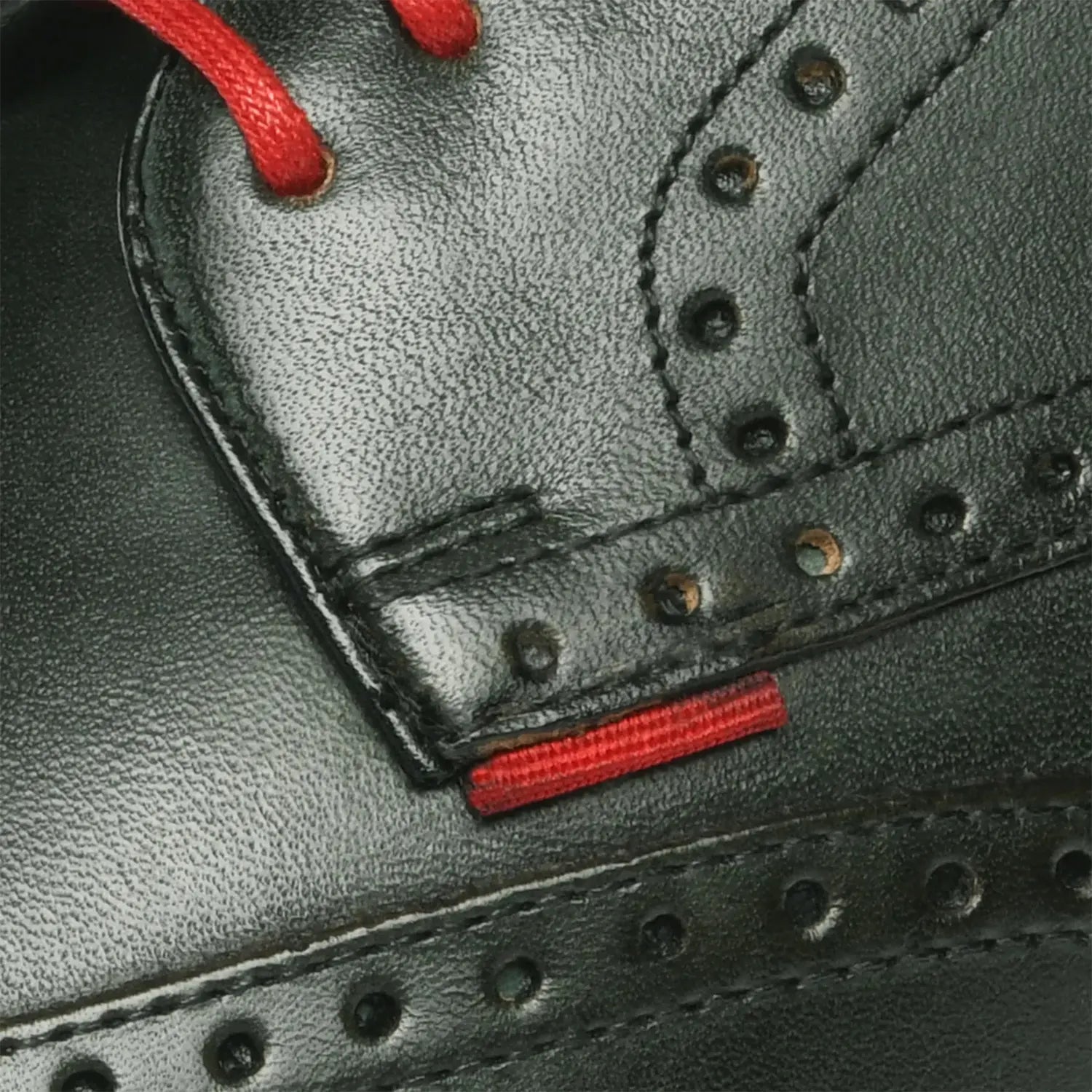 Levet Crust Navy/Green