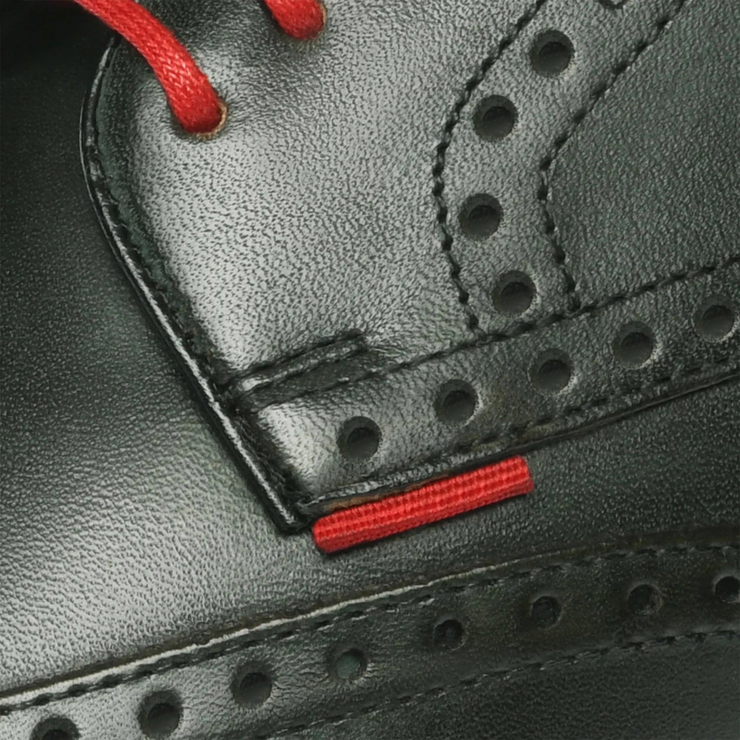 Levet Crust Navy/Green