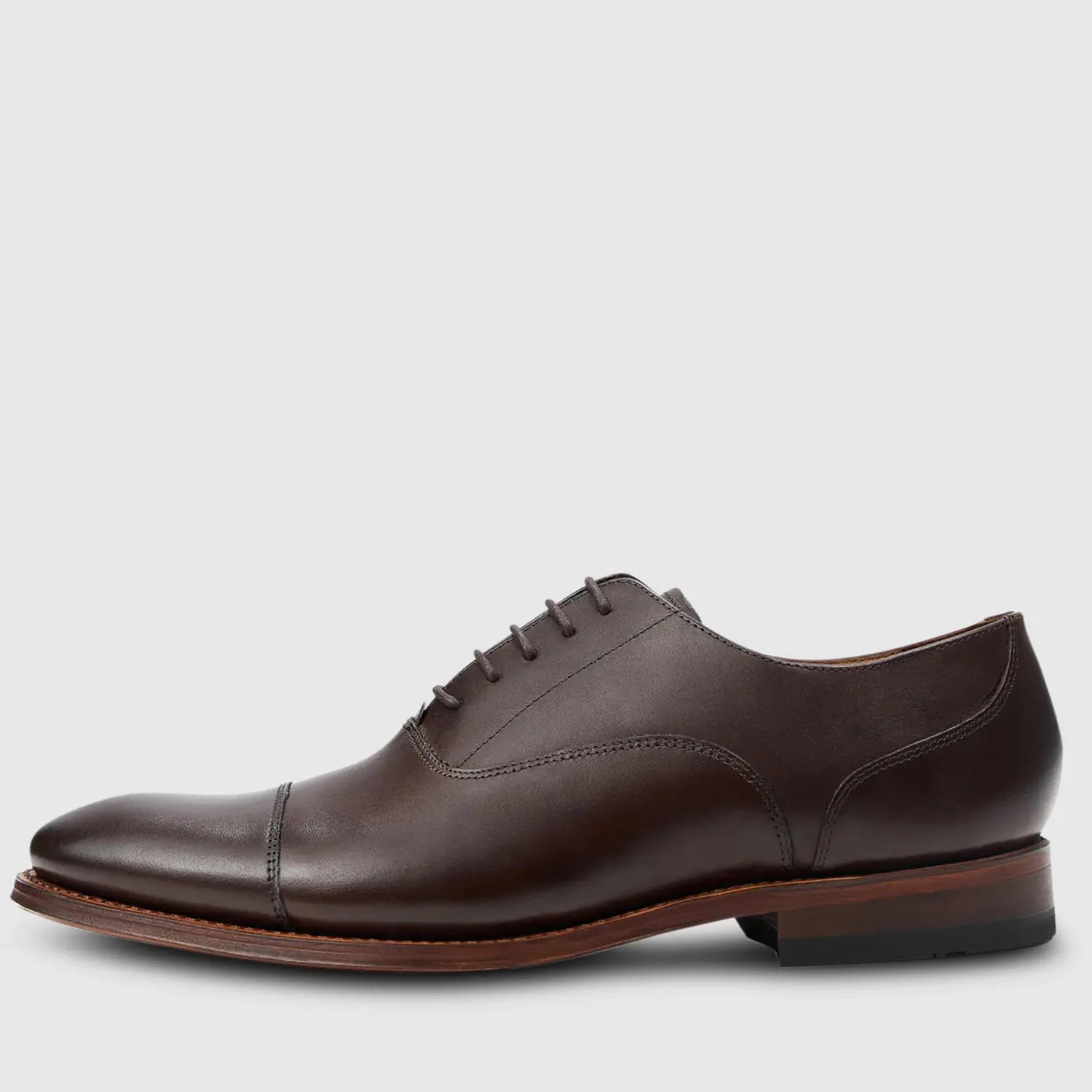 Fabian Crust Dark Brown