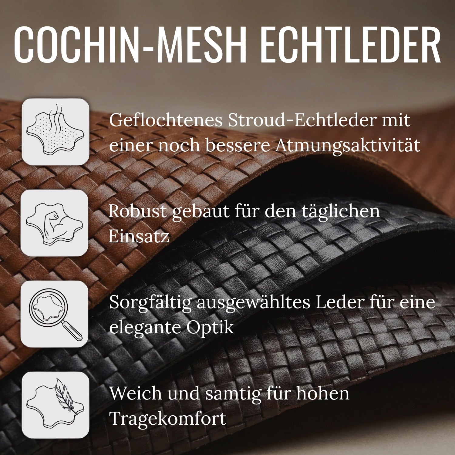Lorenzo Cochin/Mesh TDM