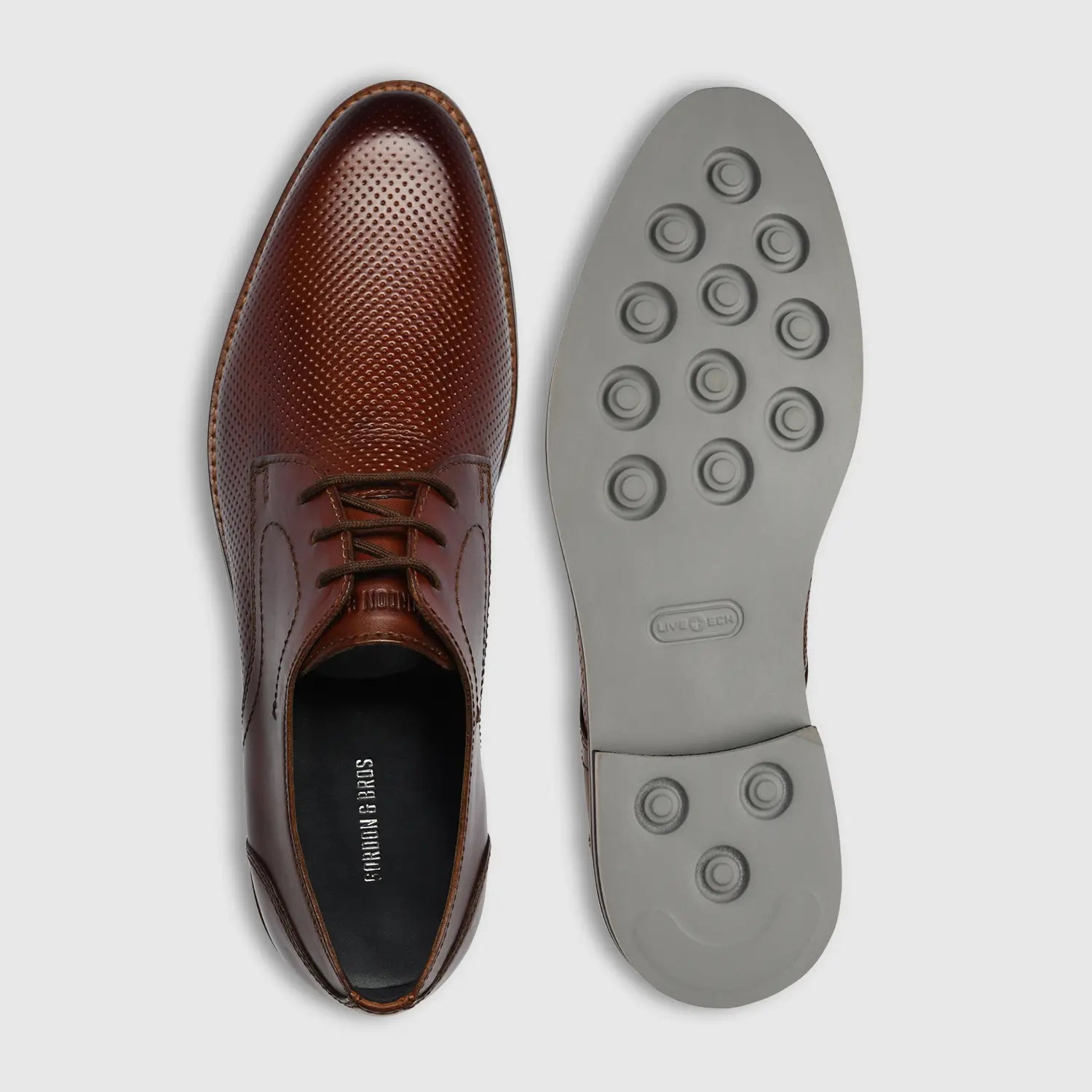 Vince Stroud-Holes Cognac