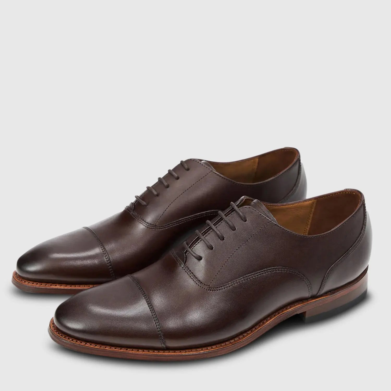 Fabian Crust Dark Brown