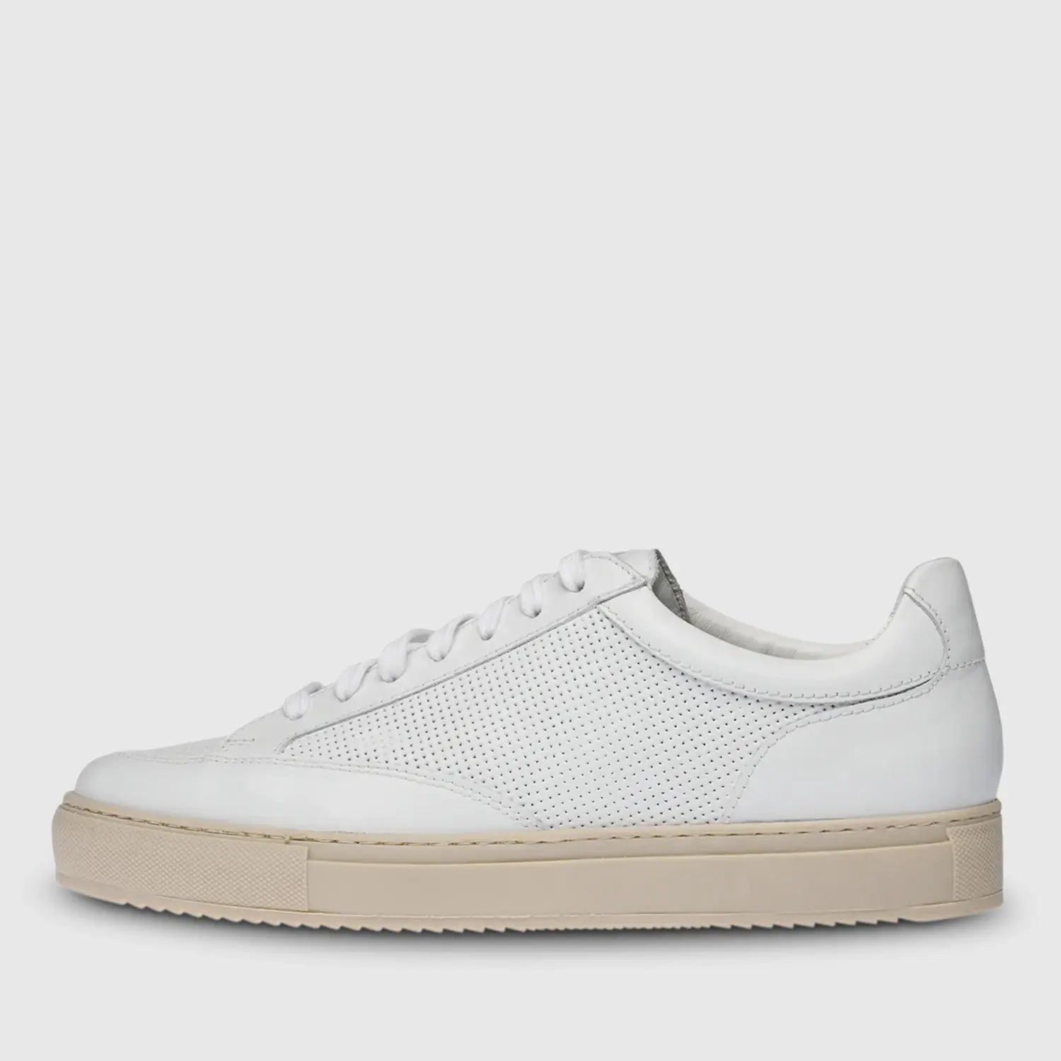 Philipp Cochin Holes White