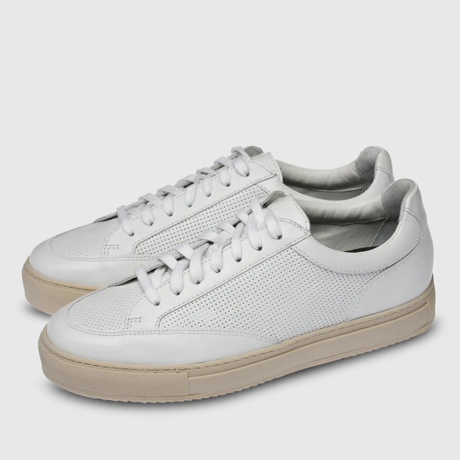Philipp Cochin Holes White