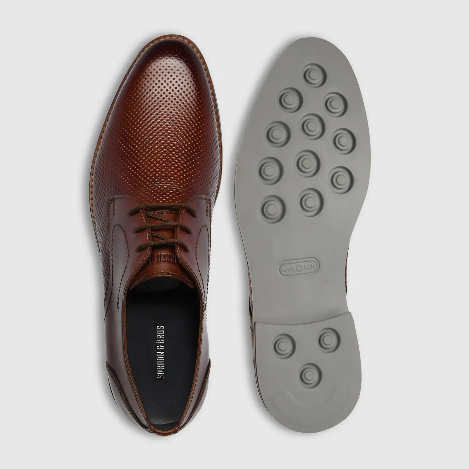 Vince Stroud-Holes Cognac